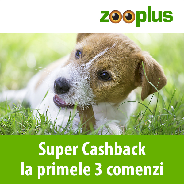 Super Cashback pentru clienți noi la zooplus