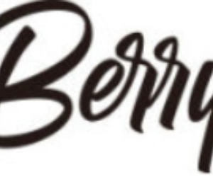 berrylook logo